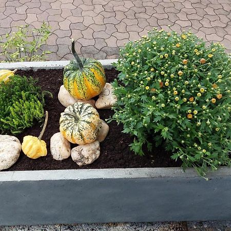 Ferienwohnung Auszeit Hofheim in Unterfranken Exterior foto