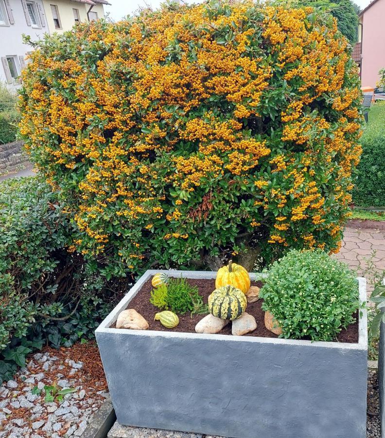 Ferienwohnung Auszeit Hofheim in Unterfranken Exterior foto